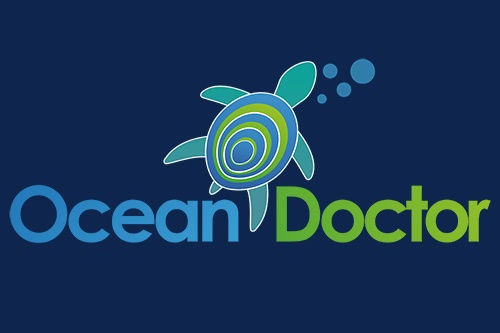 Ocean Doctor