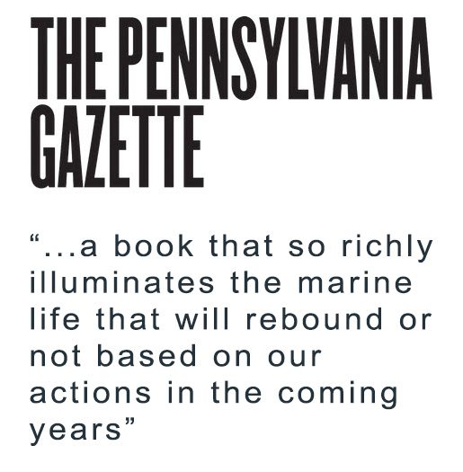 Pennsylvania Gazette Review
